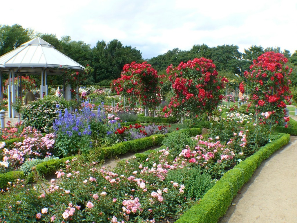 Романтический стиль в ландшафтном дизайне