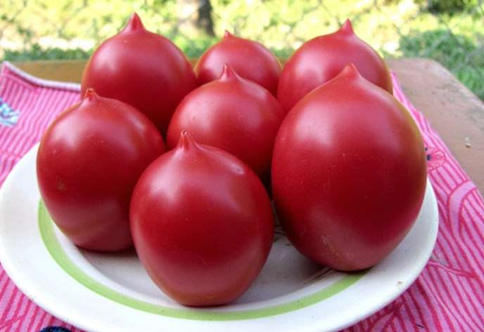 Розовый «Де Барао» – среднепоздний сорт, предназначенный для употребления в свежем виде, консервирования и продолжительного сохранения