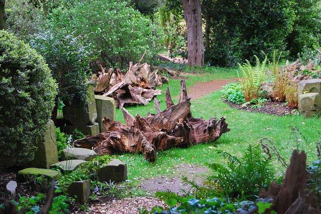 Рутарий на даче своими руками: создаем красоту самостоятельно
