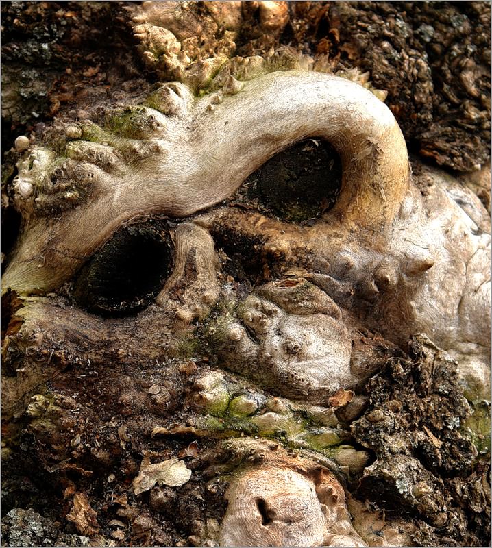 Рутарий на даче своими руками: создаем красоту самостоятельно