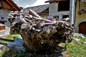 Рутарий на даче своими руками: создаем красоту самостоятельно