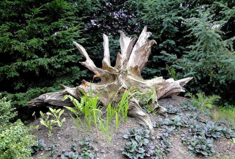 Рутарий на даче своими руками: создаем красоту самостоятельно