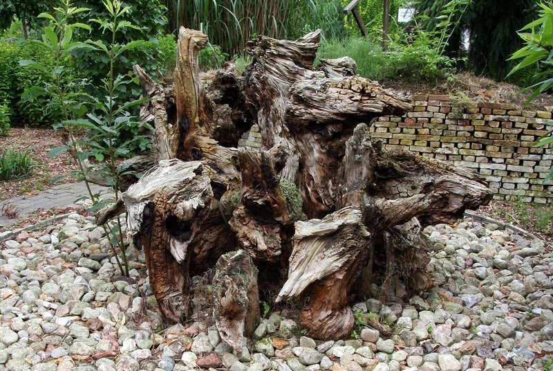 Рутарий – великолепная фантазийная композиция, создать которую может абсолютно каждый, даже ребенок