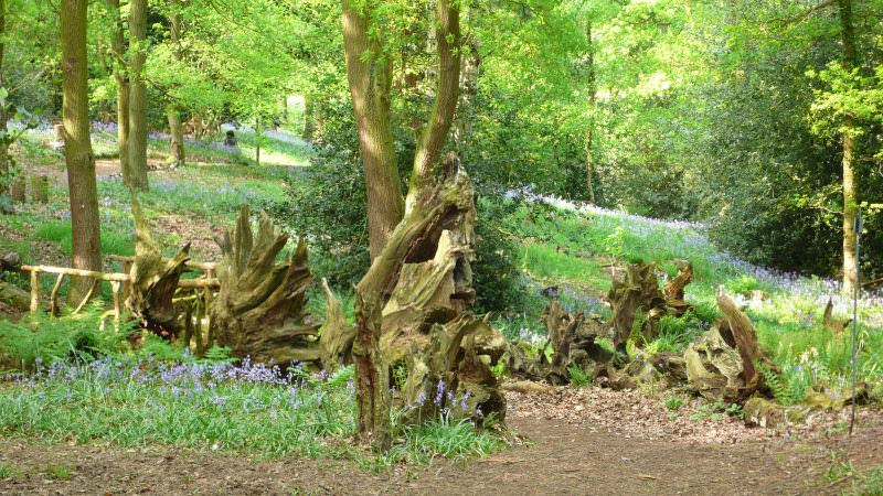 Всегда есть правила и исключения, и то же самое мы можем сказать о создании рутария. Его можно сделать хаотично, именно так, как хочется вам, но можно и по определенным принципам