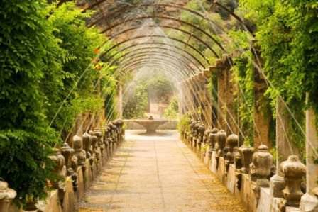 Обустройство аллеи на дачном участке — невероятно интересное занятие!