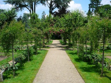 Лучший вариант аллеи — это тот, который вы сами для себя определили