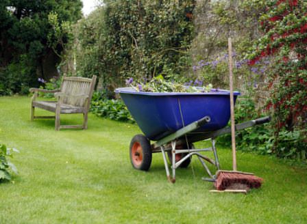 Очень важно подготовить территорию для ландшафтных работ