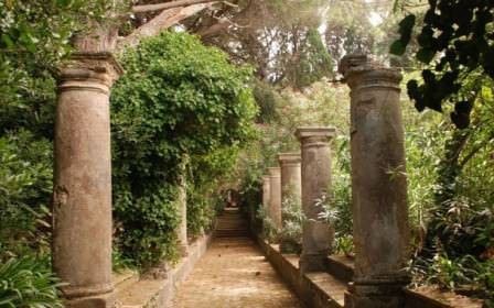 Что расположить вдоль аллеи: от растений до архитектуры