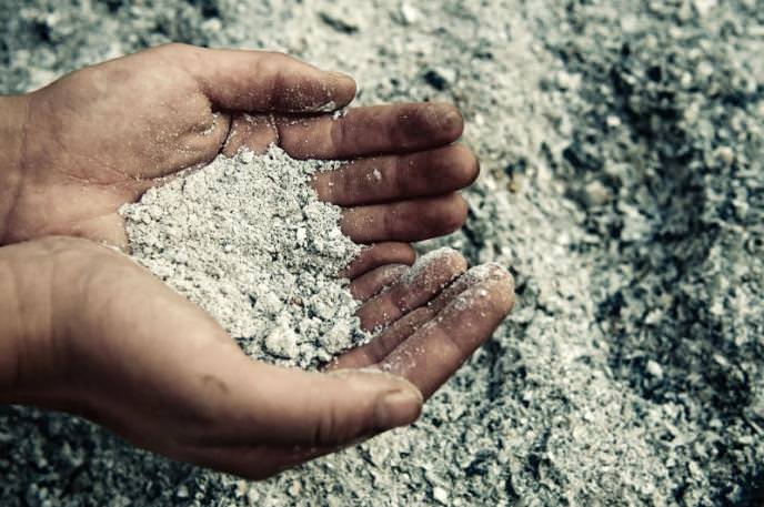 Древесную золу необходимо вносить в лунки с картофелем