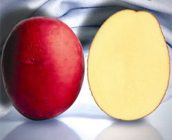 Картофель «Романце» относится к категории сортов столового назначения