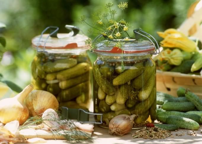 Прекрасные вкусовые качества огурца «Паратунка f1» не теряются в засолке и мариновании