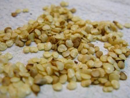 Семена к посадке надо подготовить