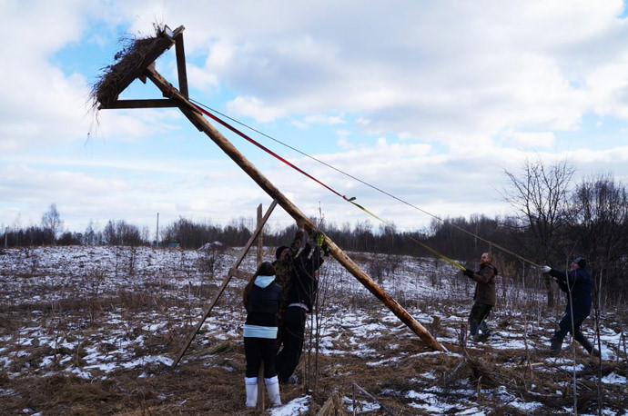 Гнездовья нужно размещать так, чтобы подлету птиц ничего не мешало