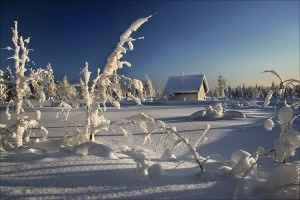 Польза и вред снега на даче очевидны, а потому рекомендуем заранее подумать о том, как избавиться от снега в одном месте и оставить его в другом