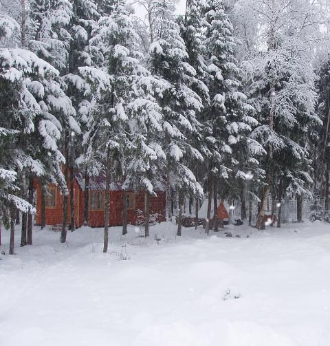 Вода очень важна для растений на вашем участке, а потому снег является положительным фактором в данном плане