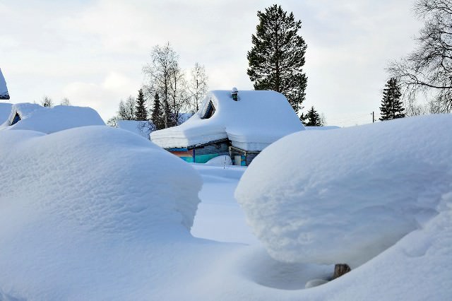 Снег – равномерный слой, каждое прикосновение к которому оставляет определенные следы. Поэтому можно очень просто идентифицировать вредителей, которые проникли в заснеженный сад
