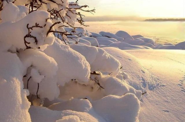 С приходом зимы многие дачники реже посещают дачу, но те из нас, кто все-таки выбирается сюда, не остаются разочарованными