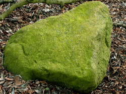 Мох на камне, старение сада