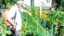 обработка, опрыскивание растений