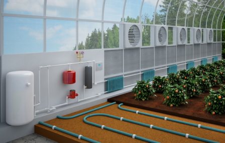 Отопление дает нам возможность выращивать растения и получать плоды в холодное время года