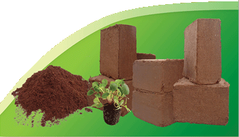 Рассадный грунт: покупать или приготовить самостоятельно?