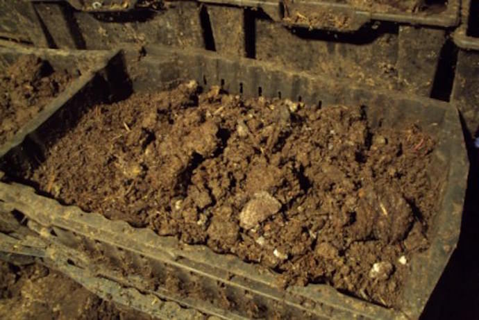 Основные требования для рассадного грунта, которые необходимо принять во внимание