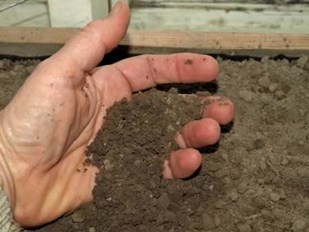 Изучите требования к грунту на основе примеров, так будет гораздо легче готовить необходимую смесь самостоятельно