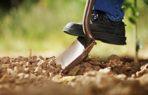 Традиционно в осенний период производится рыхление почвы