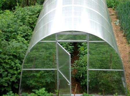 Теплица осенью: уборка, обработка дезинфекцией, удобрения, общий уход