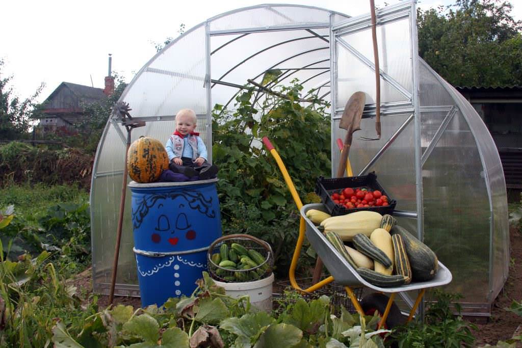 Теплица осенью: уборка, обработка дезинфекцией, удобрения, общий уход