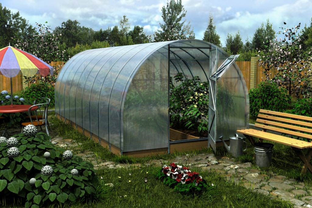 Теплица осенью: уборка, обработка дезинфекцией, удобрения, общий уход
