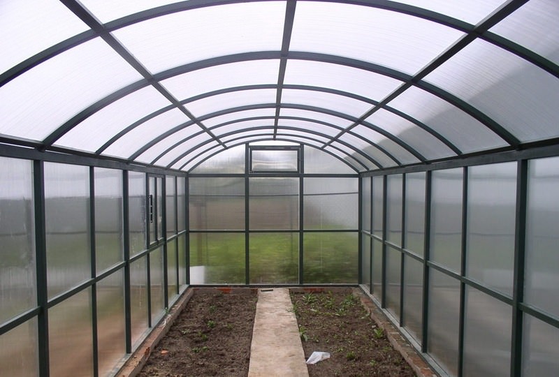 Теплица осенью: уборка, обработка дезинфекцией, удобрения, общий уход