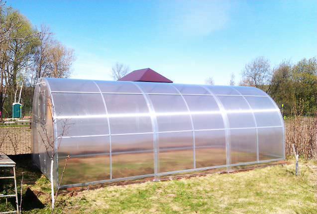 Теплица осенью: уборка, обработка дезинфекцией, удобрения, общий уход