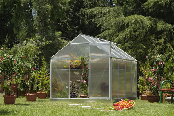 Теплица осенью: уборка, обработка дезинфекцией, удобрения, общий уход