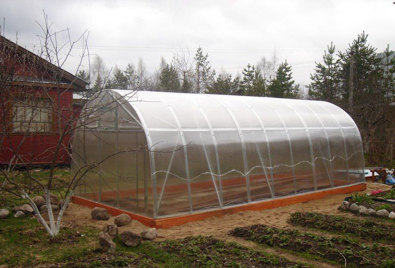 Теплица осенью: уборка, обработка дезинфекцией, удобрения, общий уход
