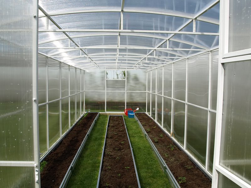 Теплица осенью: уборка, обработка дезинфекцией, удобрения, общий уход