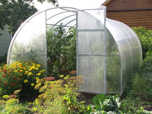 Теплица осенью: уборка, обработка дезинфекцией, удобрения, общий уход