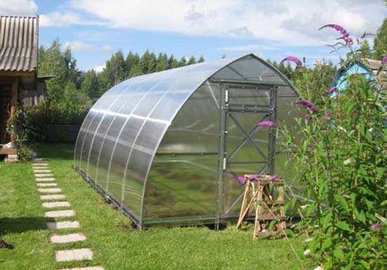 Теплица осенью: уборка, обработка дезинфекцией, удобрения, общий уход