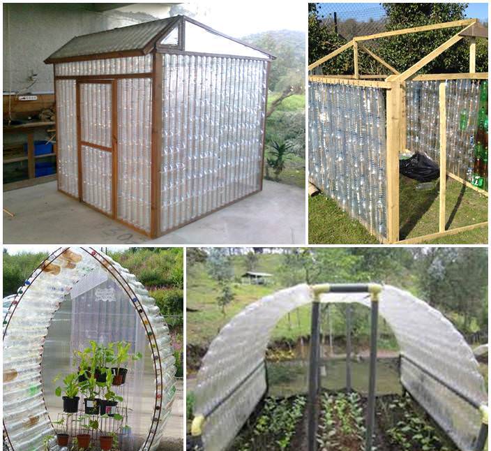 Теплица из пластиковых бутылок своими руками