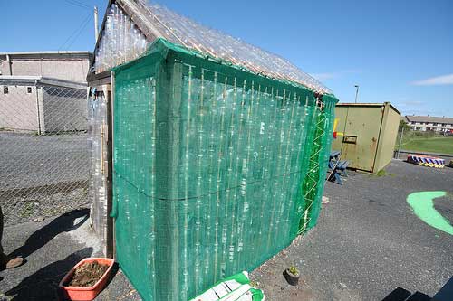 Теплица из пластиковых бутылок своими руками