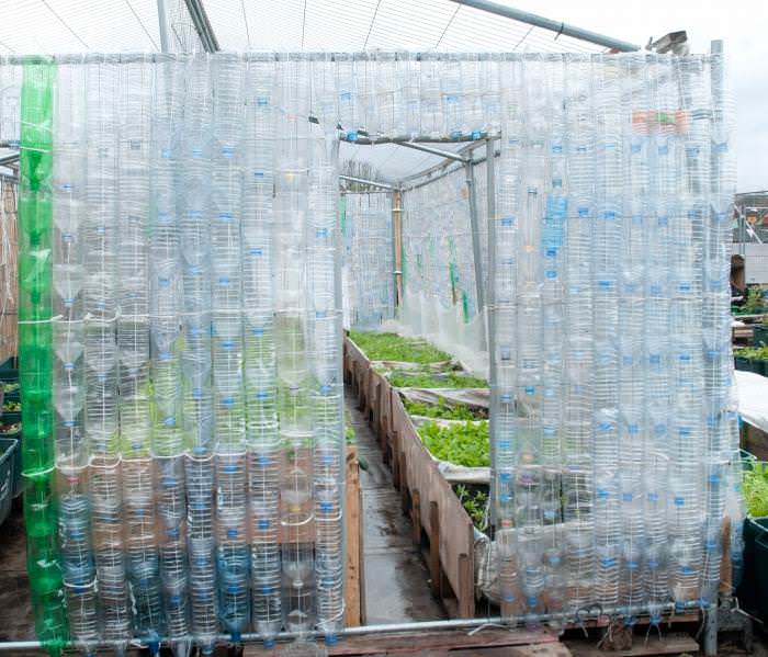 Теплица из пластиковых бутылок своими руками
