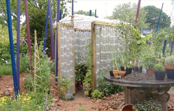 Теплица из пластиковых бутылок своими руками