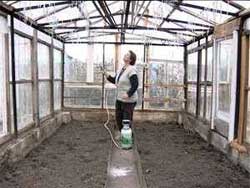Осенние работы в теплице очень важны