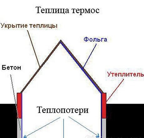 Теплица-термос, изобретенная Анатолием Патием, настолько практична и функциональна, что в ней можно выращивать даже цитрусовые