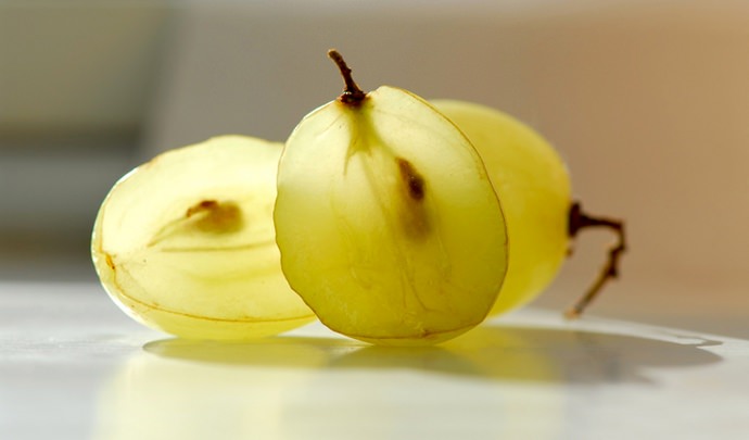 Виноградная косточка является носителем исчерпывающей информации о растении