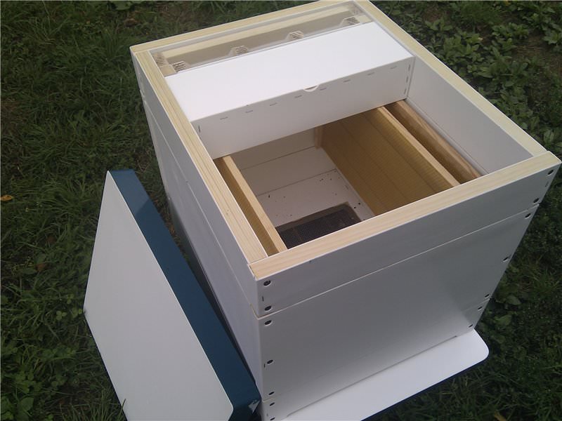 Ульи из полиуретана появились в России сравнительно недавно