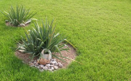 Увеличить участок визуально можно при помощи правильно устроенного газона