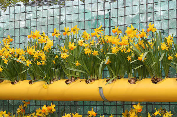 Емкости для выращивания цветов из труб