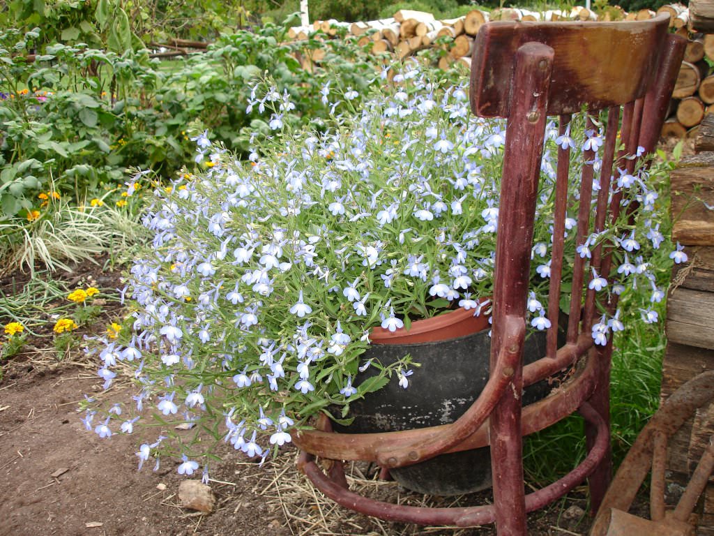 Старая мебель в виде постамента для садовых вазонов