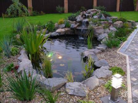 Пруд на приусадебном участкесоздается для того, чтобы выполнять в большей мере эстетическую функцию